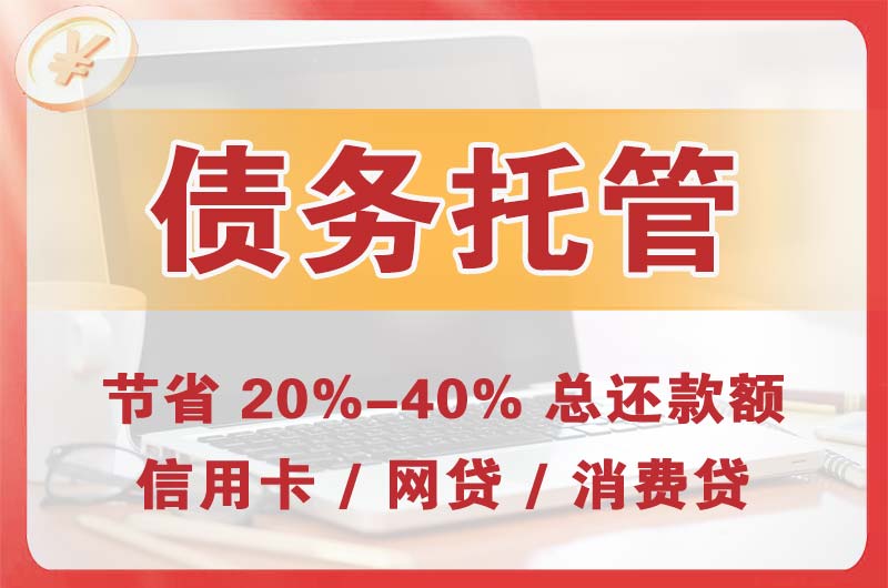 资阳区债务托管